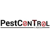 Cockroach Control Perth image 1